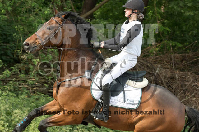 Vielseitigkeitsturnier ZRFV von Lützow Hamminkeln