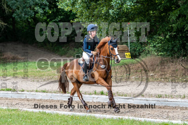 Late-Entry-Vielseitigkeit Langenfeld (11.+13./14.06.2020)