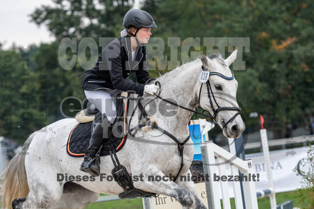 Goldene Schärpe 2020 - Pferde