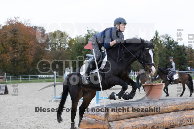 IGV Lehrgang der Sieger der Cups mit Frank Ostholt