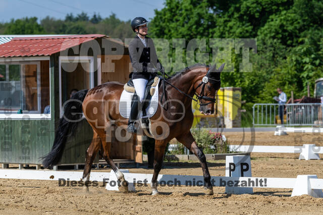 Westerstede Horse Trials 2021