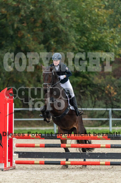 Reiter Schleswig-Holstein