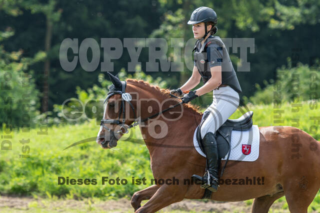 Goldene Schärpe 2021 - Ponys