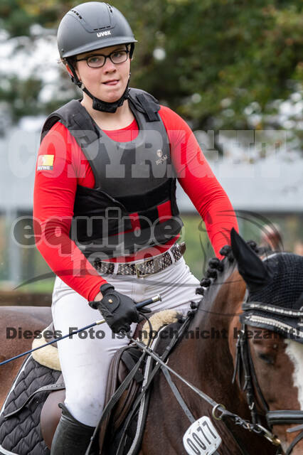 Goldene Schärpe 2020 - Pferde