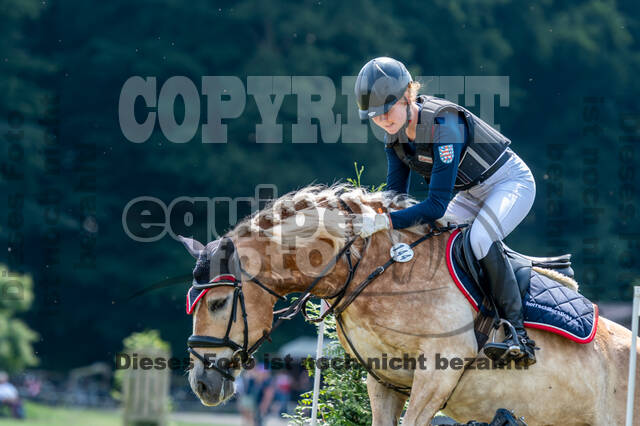 Goldene Schärpe 2021 - Ponys