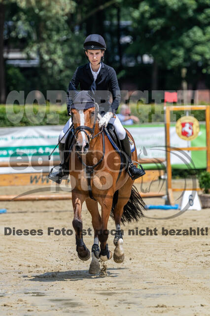 Goldene Schärpe 2021 - Ponys
