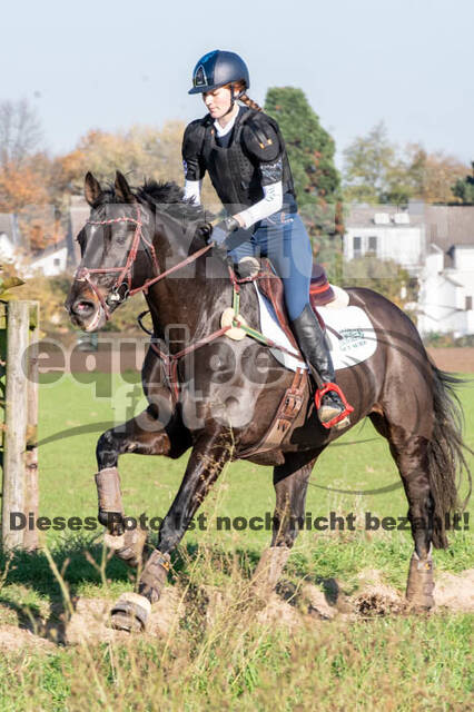 Vielseitigkeitslehrgang mit Jürg Kurbel (9.+10.11.2019)