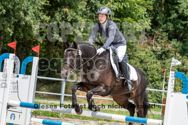 Late-Entry-Vielseitigkeit Langenfeld (06.+07.07.2020)