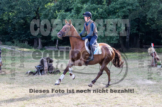 Late-Entry Vielseitigkeit Hamminkeln/Wesel (01.+02.08.2020)