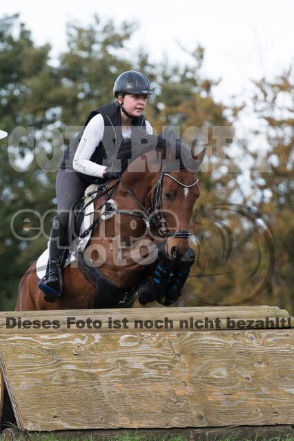 IGV Lehrgang der Sieger der Cups mit Frank Ostholt