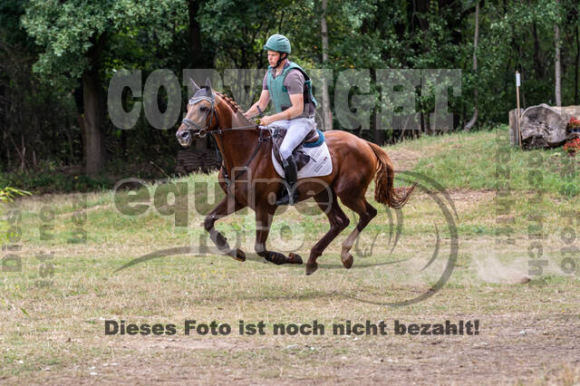 Late-Entry Vielseitigkeit Hamminkeln/Wesel (01.+02.08.2020)