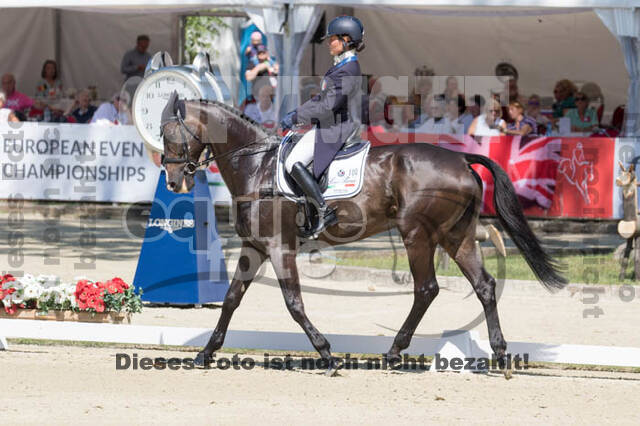 FEI European Championship