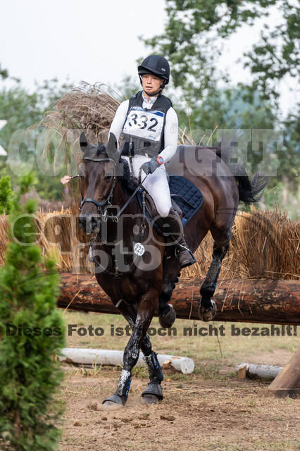 De Peelbergen (August 2020)