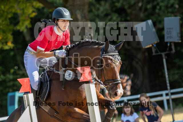 RFV Dinslaken-Hiesfeld (Herbstturnier)