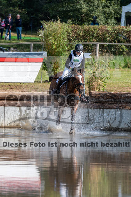 Deutsche Meisterschaft Vielseitigkeit (Luhmühlen)