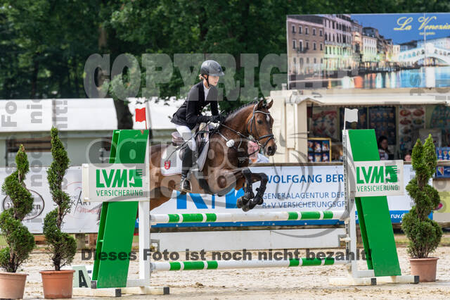 Goldene Schärpe 2021 - Ponys