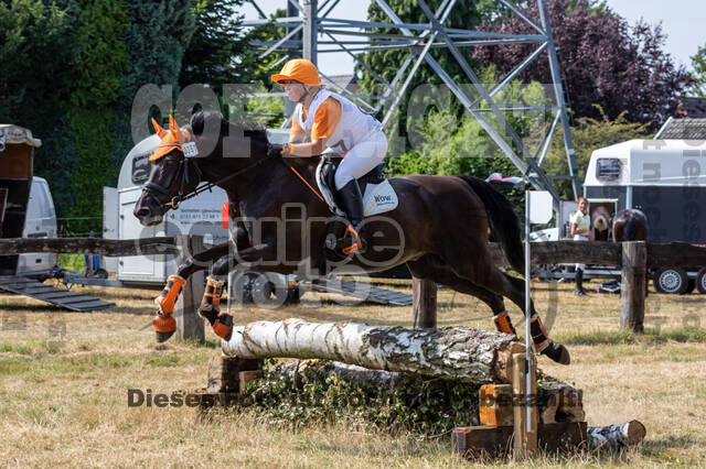 Late-Entry Vielseitigkeit Hamminkeln/Wesel (01.+02.08.2020)