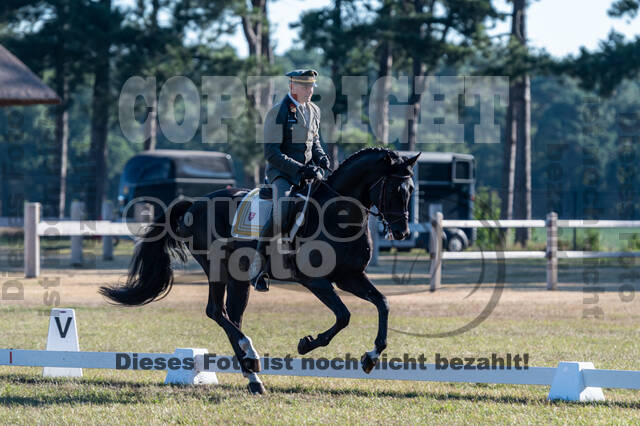 Kronenberg - De Peelbergen (August 2020)