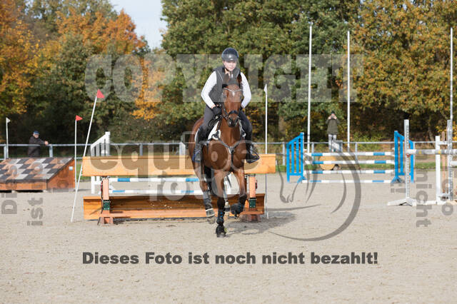 IGV Lehrgang der Sieger der Cups mit Frank Ostholt