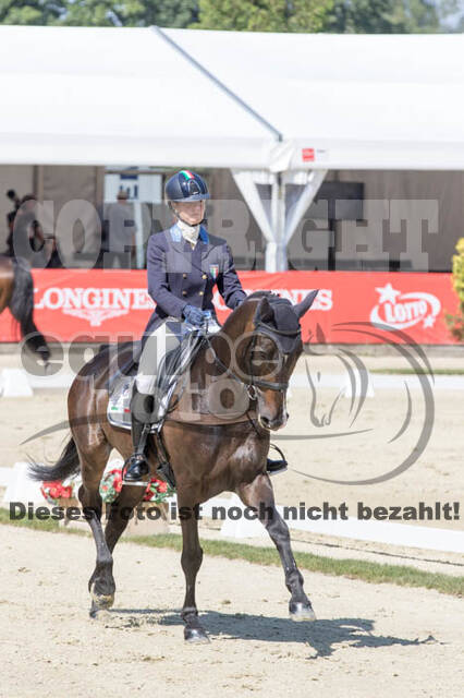 FEI European Championship