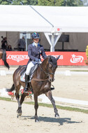 FEI European Championship
