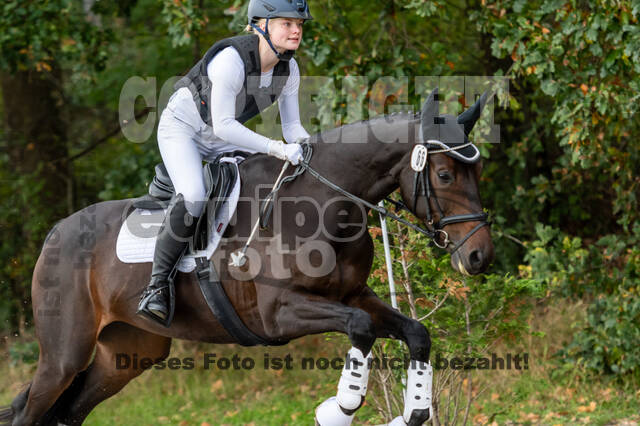 Goldene Schärpe 2020 - Pferde