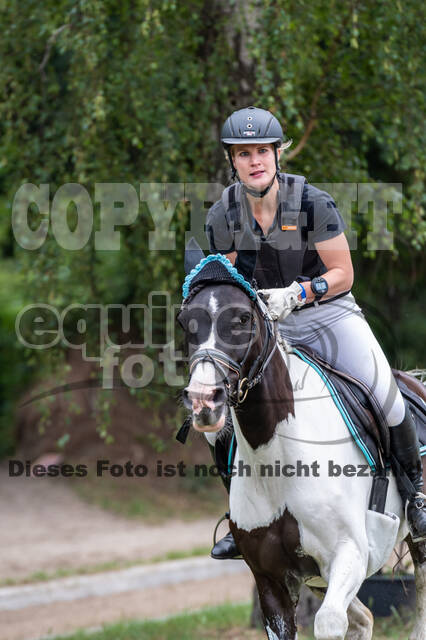 Late-Entry-Vielseitigkeit Langenfeld (11.+13./14.06.2020)