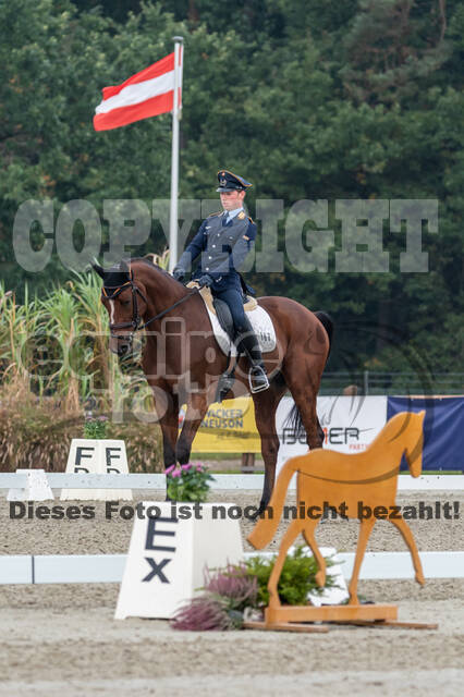 Deutsche Meisterschaft Vielseitigkeit (Luhmühlen)