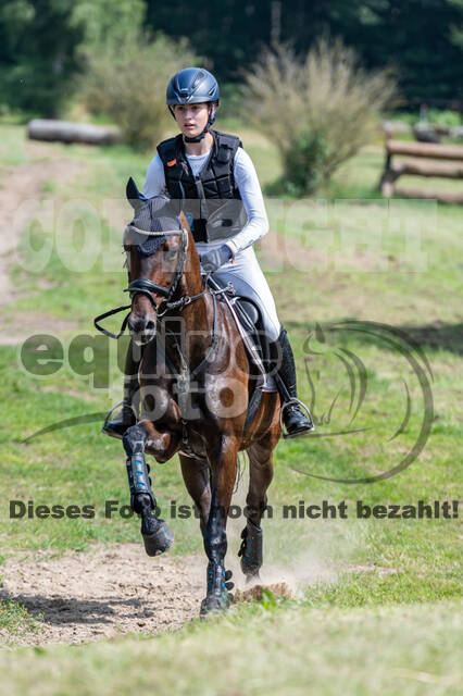 Goldene Schärpe 2021 - Ponys