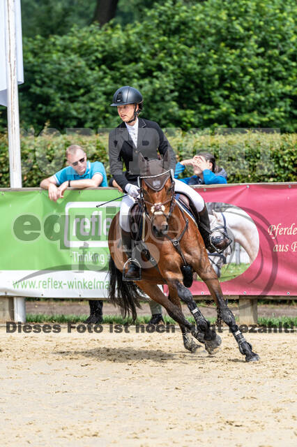 Goldene Schärpe 2021 - Ponys