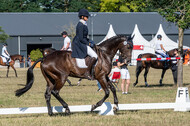 Kronenberg - De Peelbergen (August 2020)