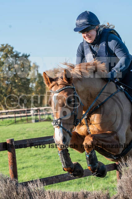 Vielseitigkeitslehrgang mit Jürg Kurbel (9.+10.11.2019)