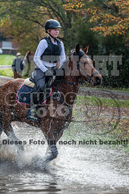 IGV Lehrgang der Sieger der Cups mit Frank Ostholt