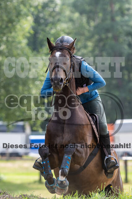 Hunter Geländetraining 10.07.2021 (Sonsbeck)