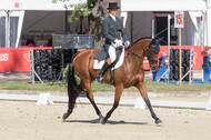 FEI European Championship Eventing 2017