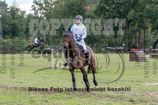 Vielseitigkeit RSV Wesel Obrighoven (26.+27.09.2020)