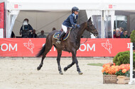FEI European Championship