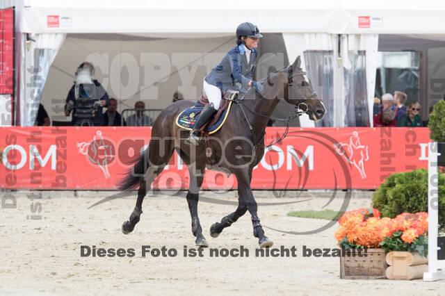 FEI European Championship