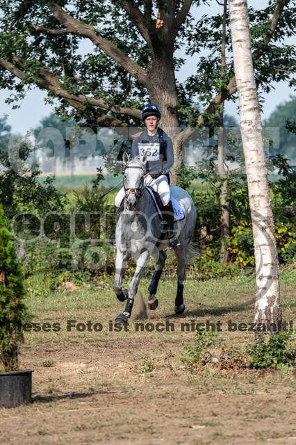 De Peelbergen (August 2020)