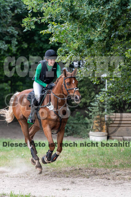 Late-Entry-Vielseitigkeit Langenfeld (11.+13./14.06.2020)