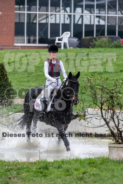 Goldene Schärpe 2020 - Pferde