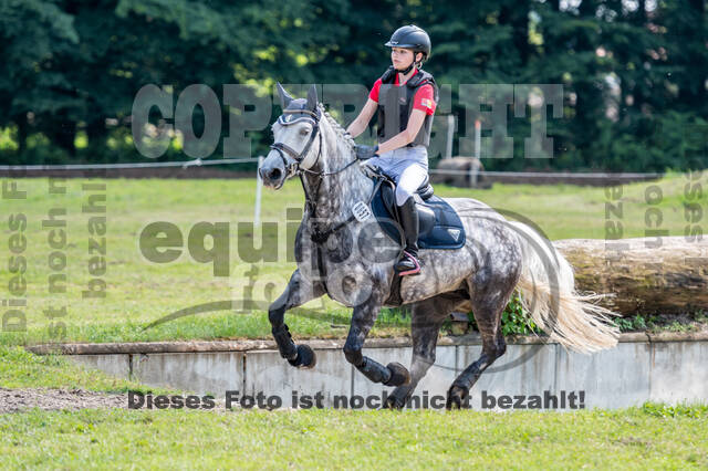 Goldene Schärpe 2021 - Ponys