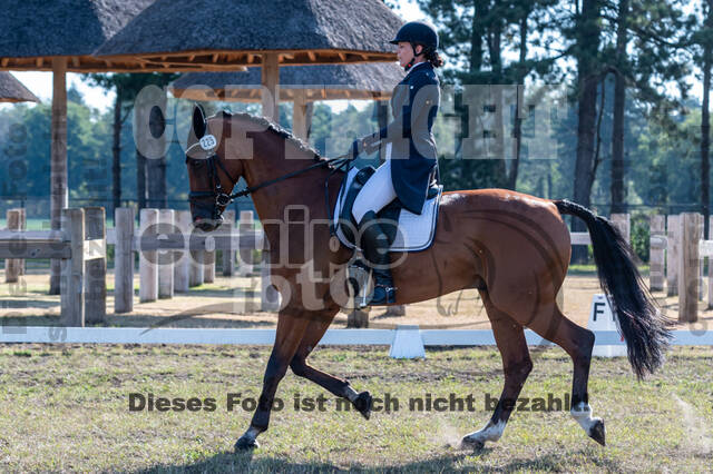 Kronenberg - De Peelbergen (August 2020)