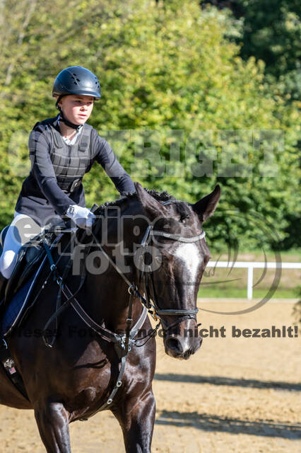 RFV Dinslaken-Hiesfeld (Herbstturnier)
