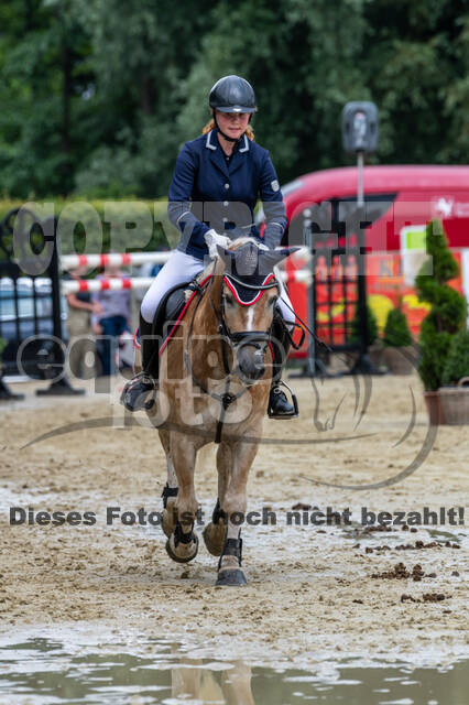 Goldene Schärpe 2021 - Ponys
