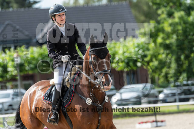 Late-Entry-Vielseitigkeit Langenfeld (06.+07.07.2020)