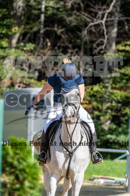 RFV Dinslaken-Hiesfeld (Herbstturnier)