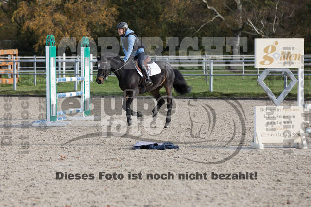IGV Lehrgang der Sieger der Cups mit Frank Ostholt