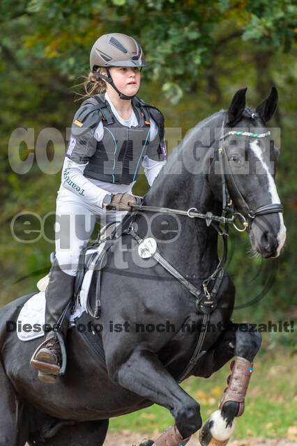 Goldene Schärpe 2020 - Pferde