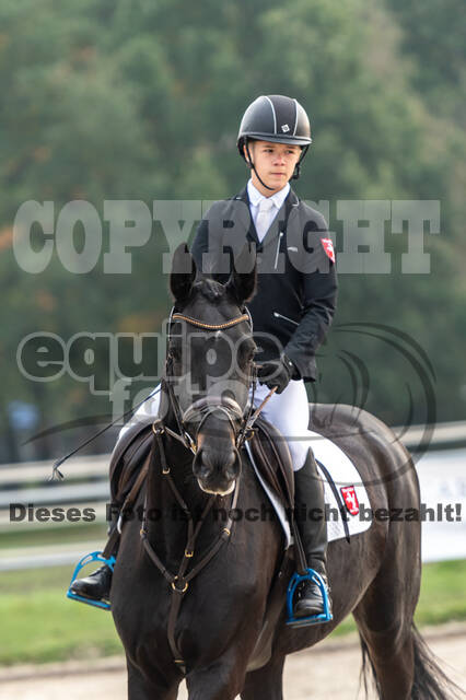 Goldene Schärpe 2020 - Pferde